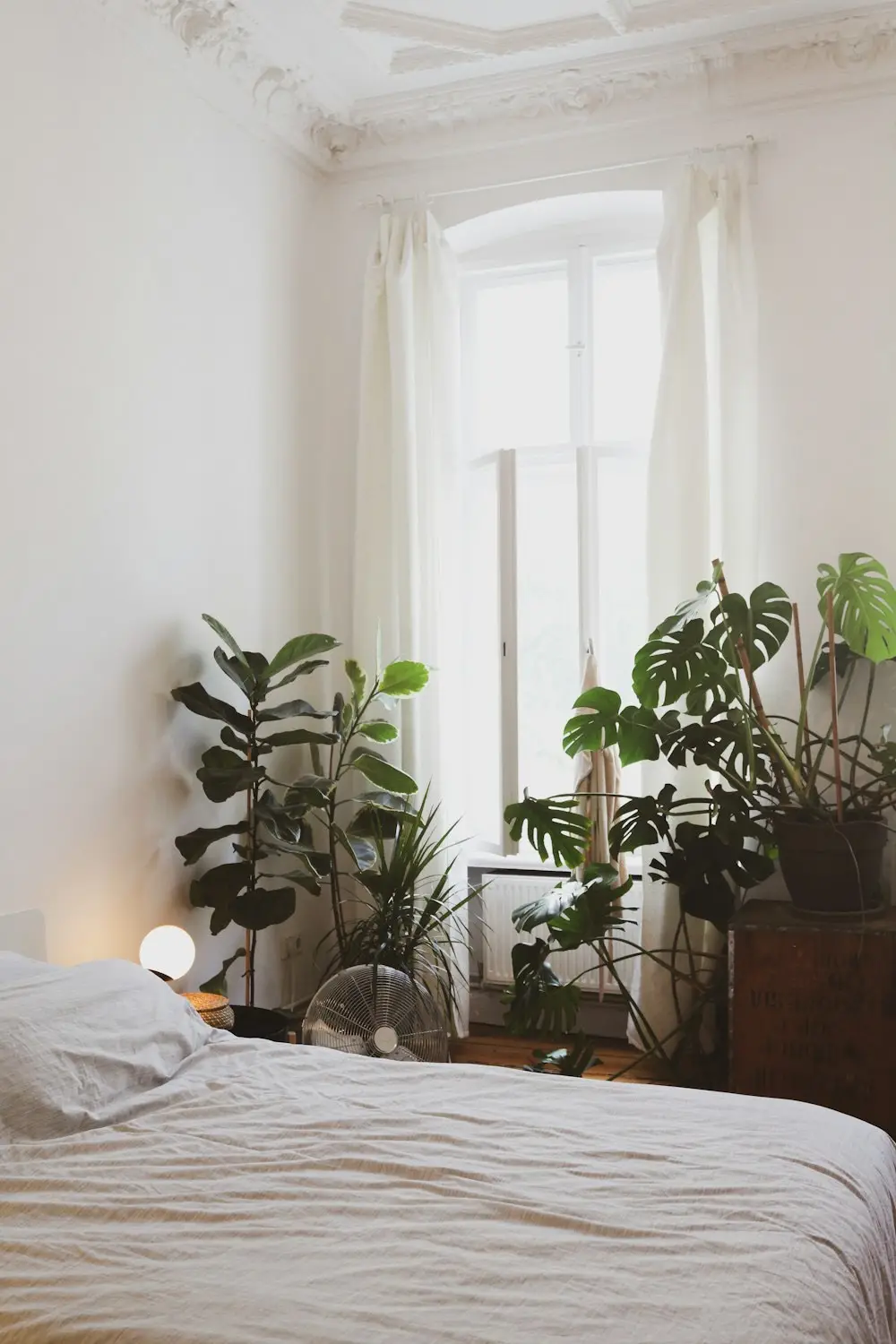 A bright, calm bedroom filled with plants